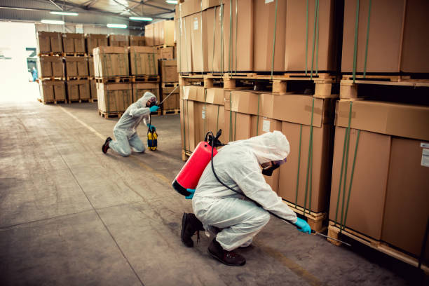 Best Pest Control for Businesses  in Nedrow, NY