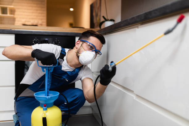 Best Best Pest Control Companies  in Nedrow, NY