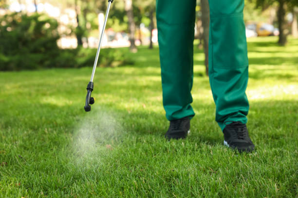Best Best Pest Control Companies  in Nedrow, NY