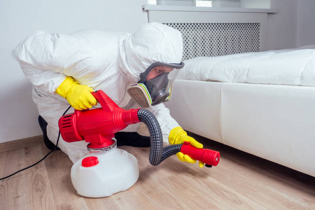 Insect Control in Nedrow, NY