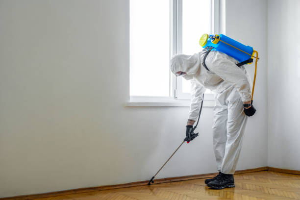 Pest Prevention Services in Nedrow, NY